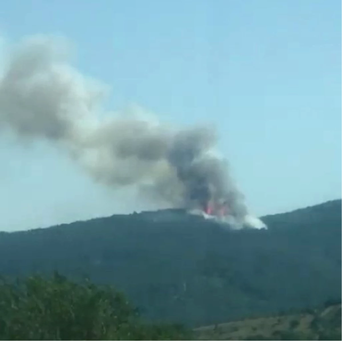 Karabük'te Orman Yangını: Ekipler Müdahale Ediyor